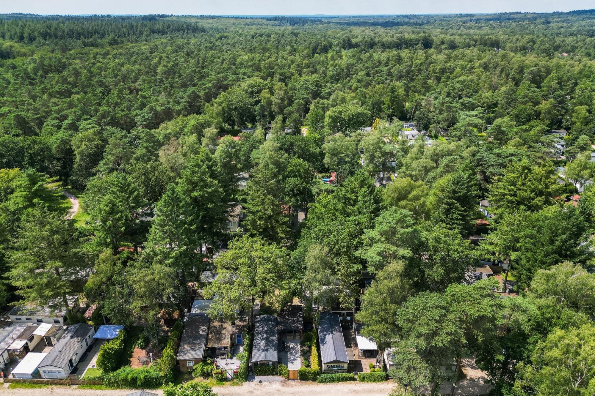 Veluwe Hoenderloo Luxury Chalet With Private Sauna And Hot Tub - Swimming Pool Tennis Court Supermarket Bowling Alley Theatre And Entertainment For Children 외부 사진
